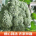 绿翡翠西兰花一手货源**超市店商平台批发市场供应链