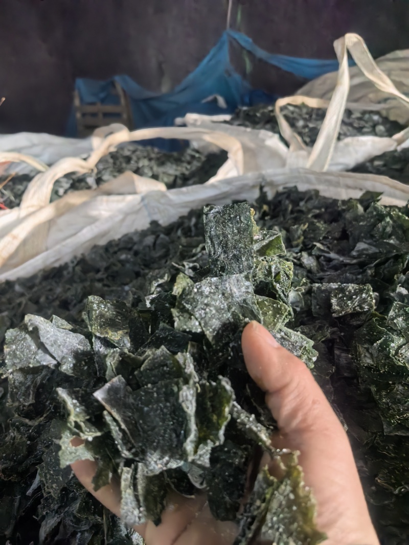 【热卖】烘干，海带片，海带块厂家直销量大质优价格优惠