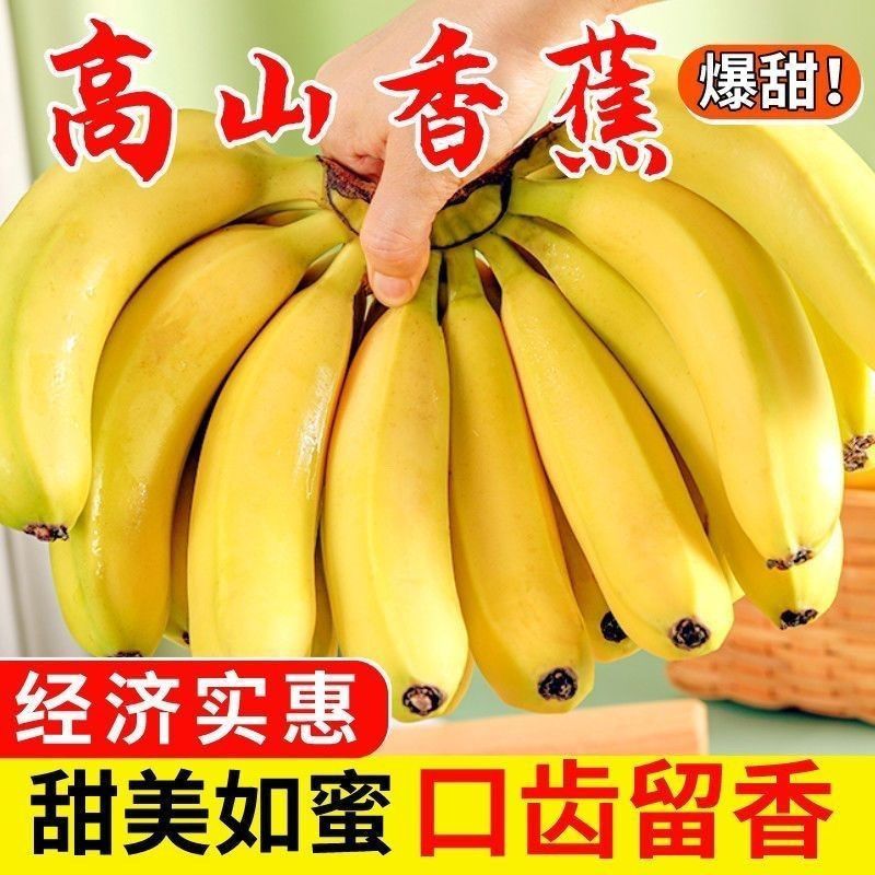 云南高山甜香蕉产地直发货新鲜一整箱青皮香蕉，超甜蕉