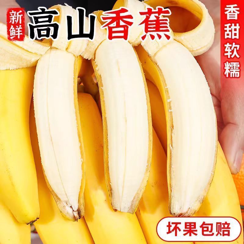 云南高山甜香蕉产地直发货新鲜一整箱青皮香蕉，超甜蕉