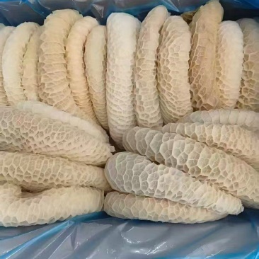 金钱肚