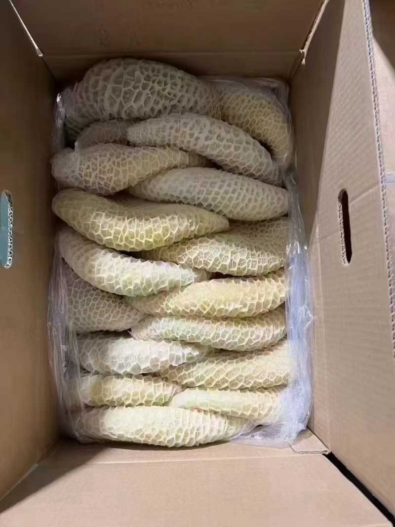金钱肚