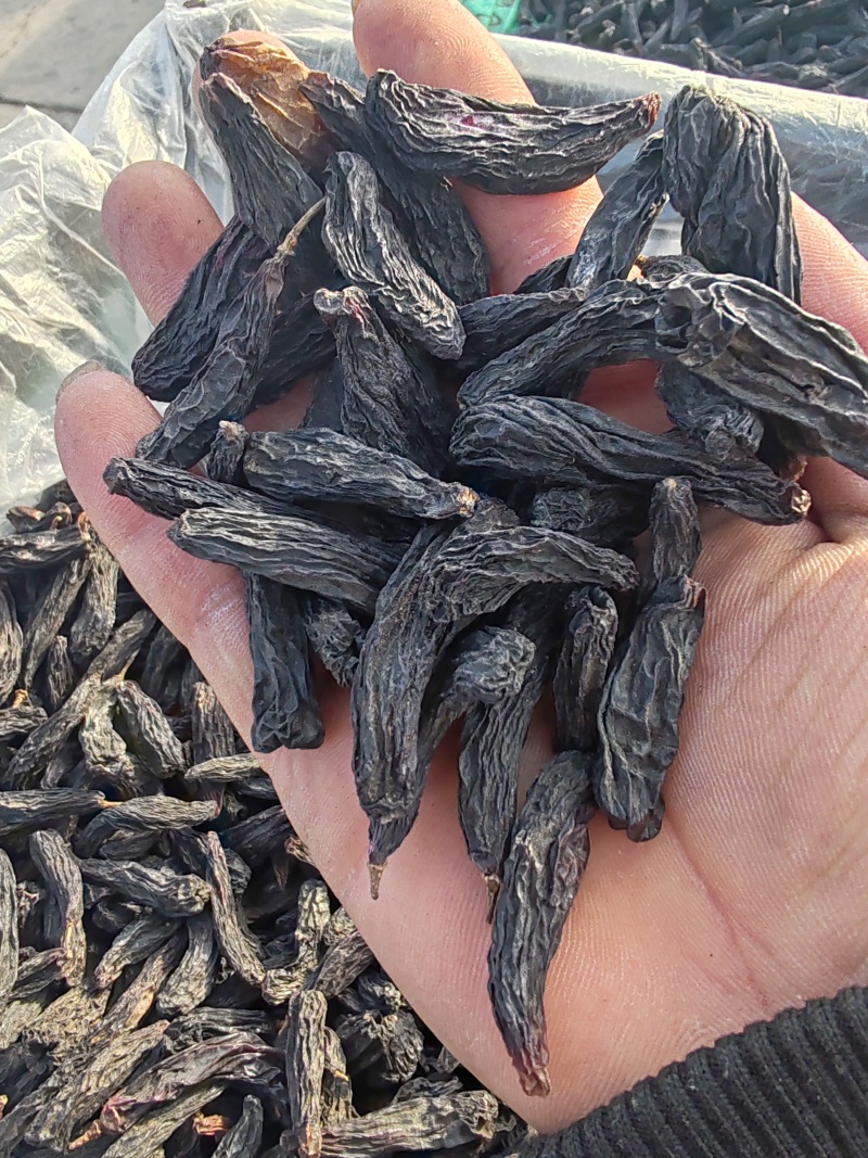 蓝宝石葡萄干产地直销量大质优价格优惠欢迎咨询采购