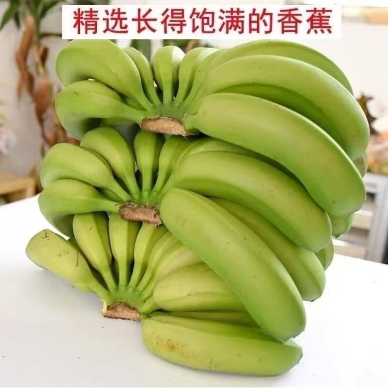 香蕉青皮香蕉薄皮香蕉自然成熟一整箱青香蕉***