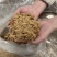 美人甲大颗粒满仁原味椒盐味