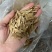 美人甲大颗粒满仁原味椒盐味