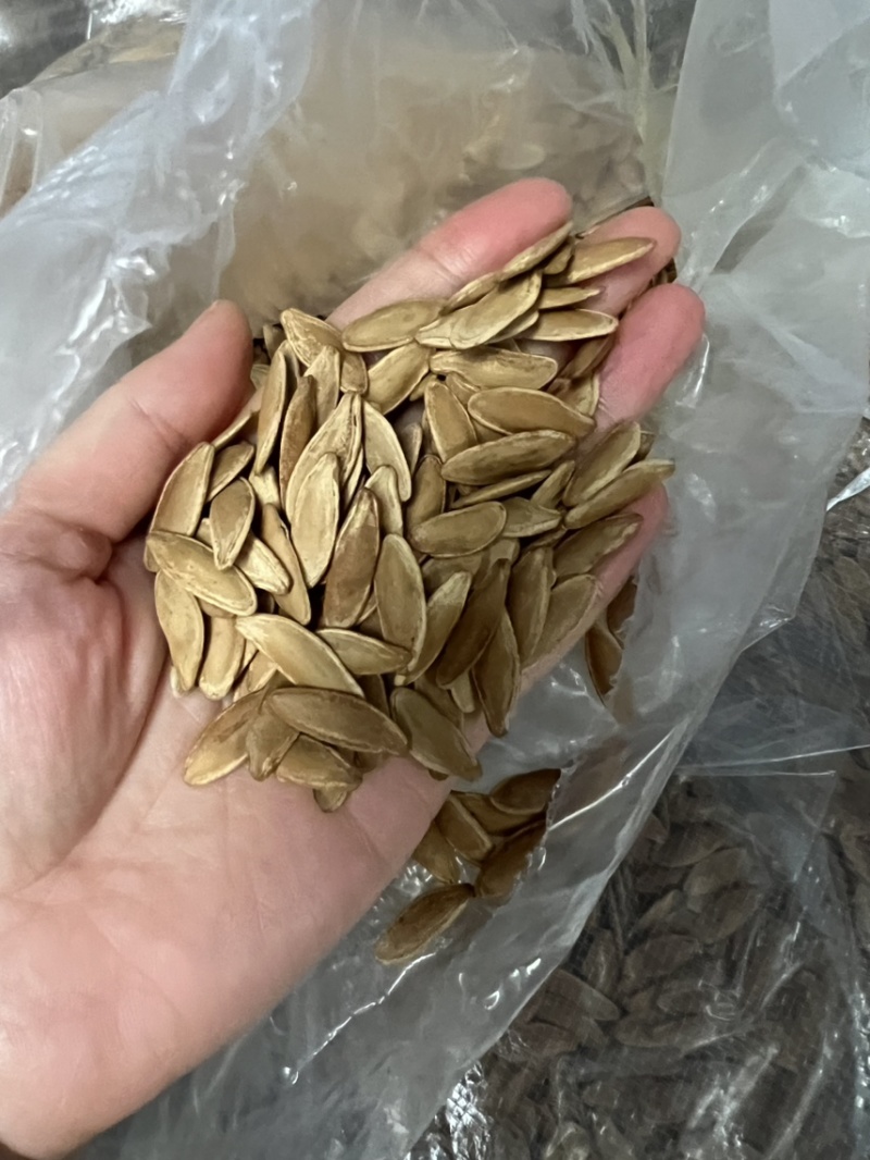 美人甲大颗粒满仁原味椒盐味