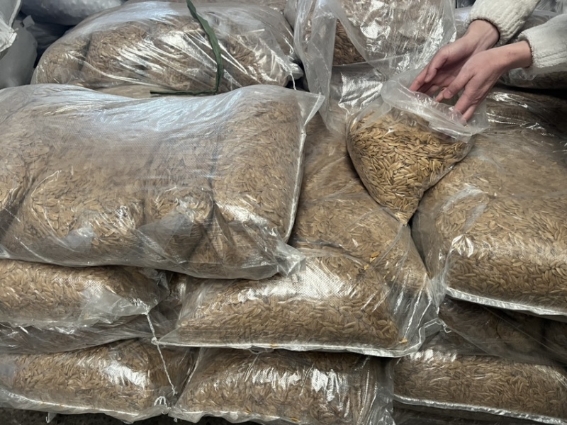 美人甲大颗粒满仁原味椒盐味