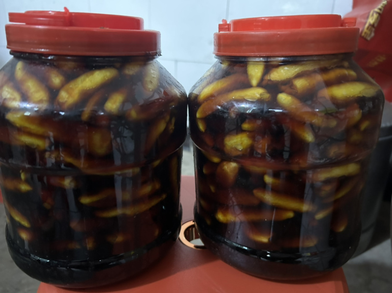 泡辣椒爱吃辣的有福了