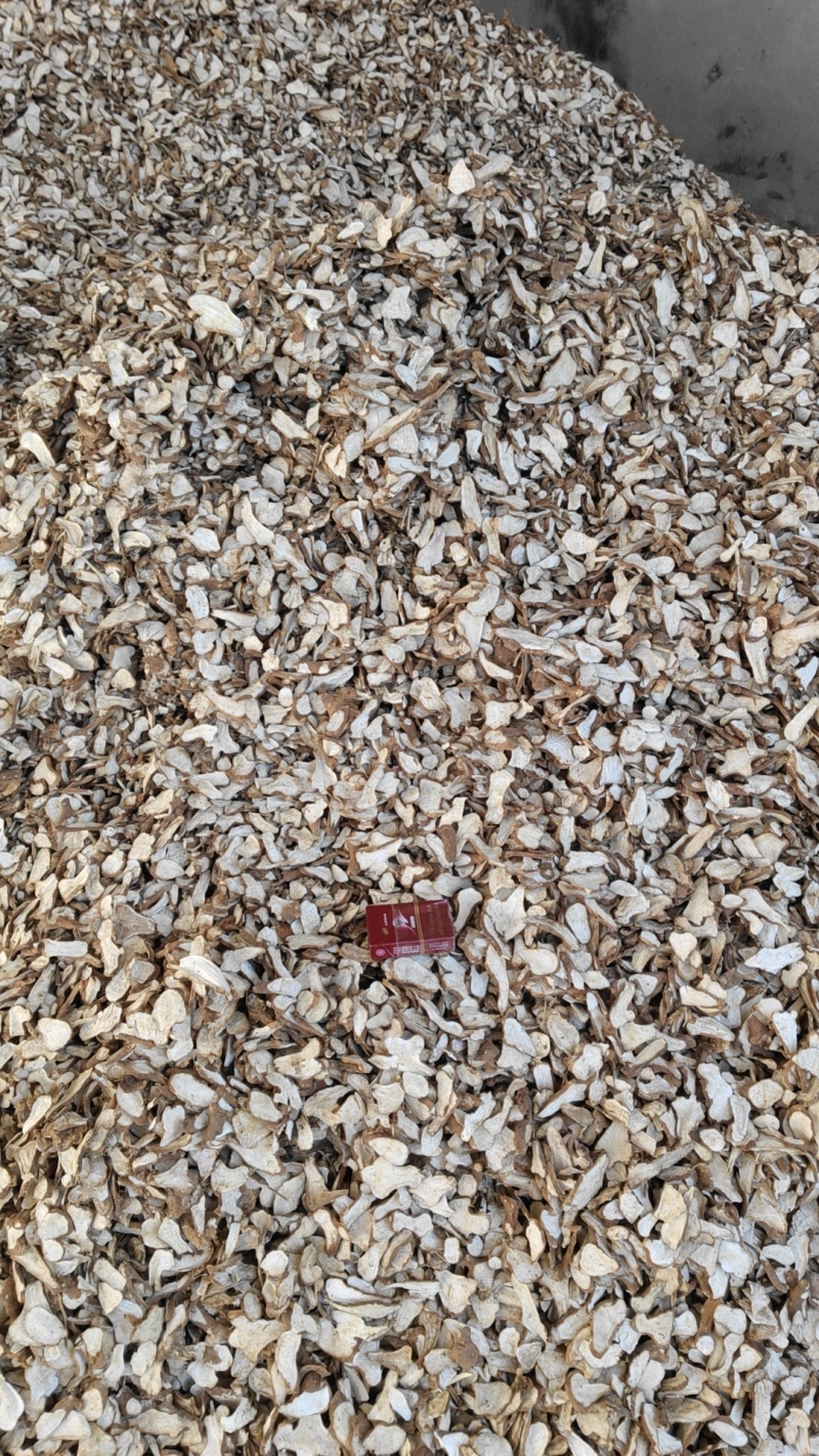 白术片