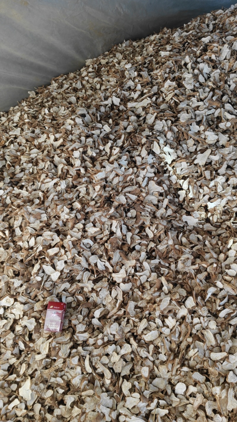 白术片