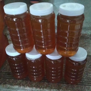 野生蜂蜜