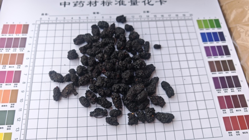 桑椹，食用级。产地一手货源，量大可优惠！欢迎咨询！