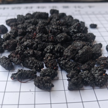 桑椹，食用级。产地一手货源，量大可优惠！欢迎咨询！