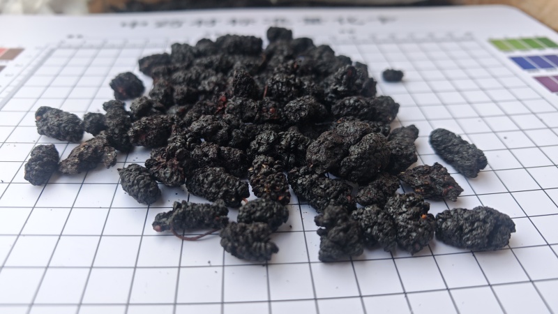 桑椹，食用级。产地一手货源，量大可优惠！欢迎咨询！