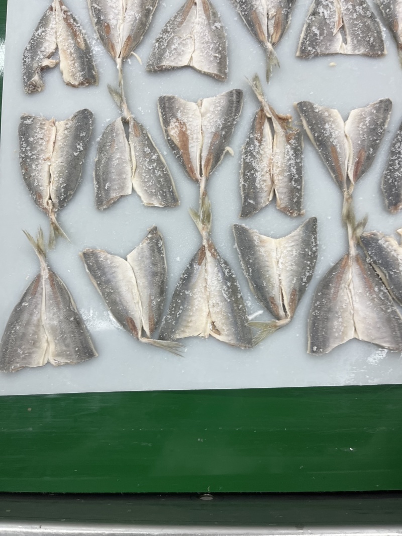 开片巴浪鱼，开片竹夹鱼