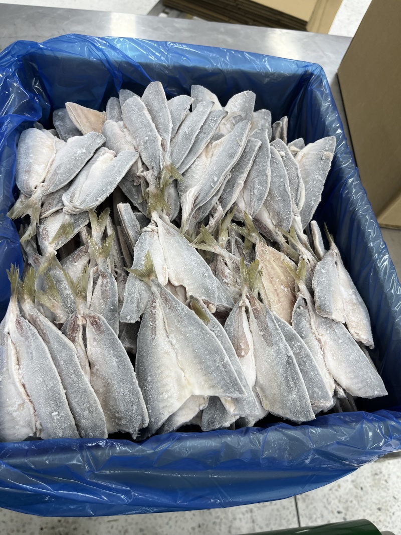 开片巴浪鱼，开片竹夹鱼