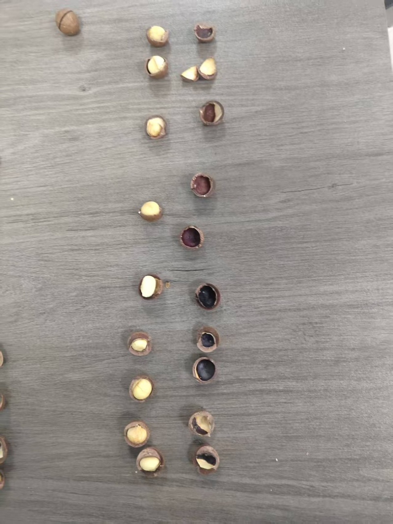 夏威夷果大小果都有需要的联系