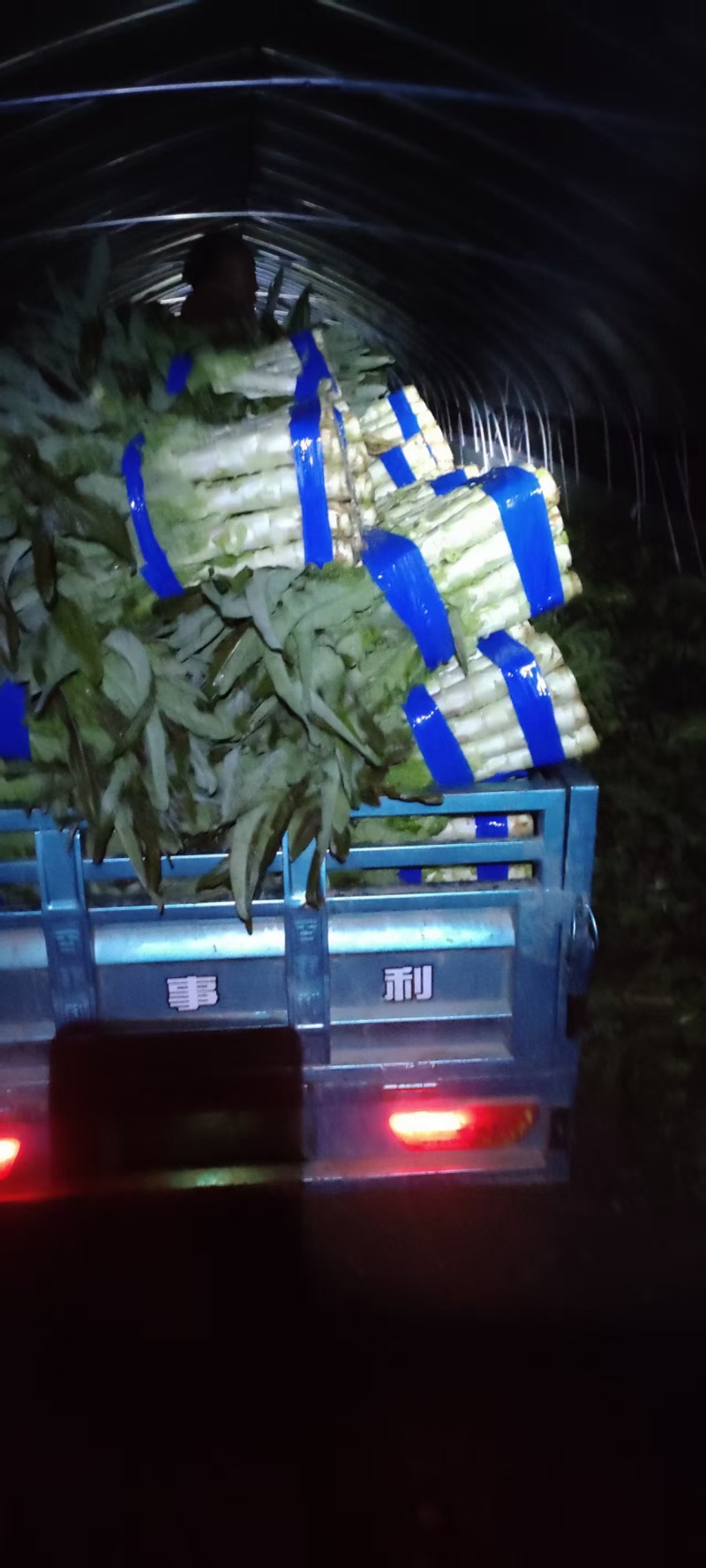 尖叶莴笋产地直发青皮青肉按需包装供应食堂电商市场