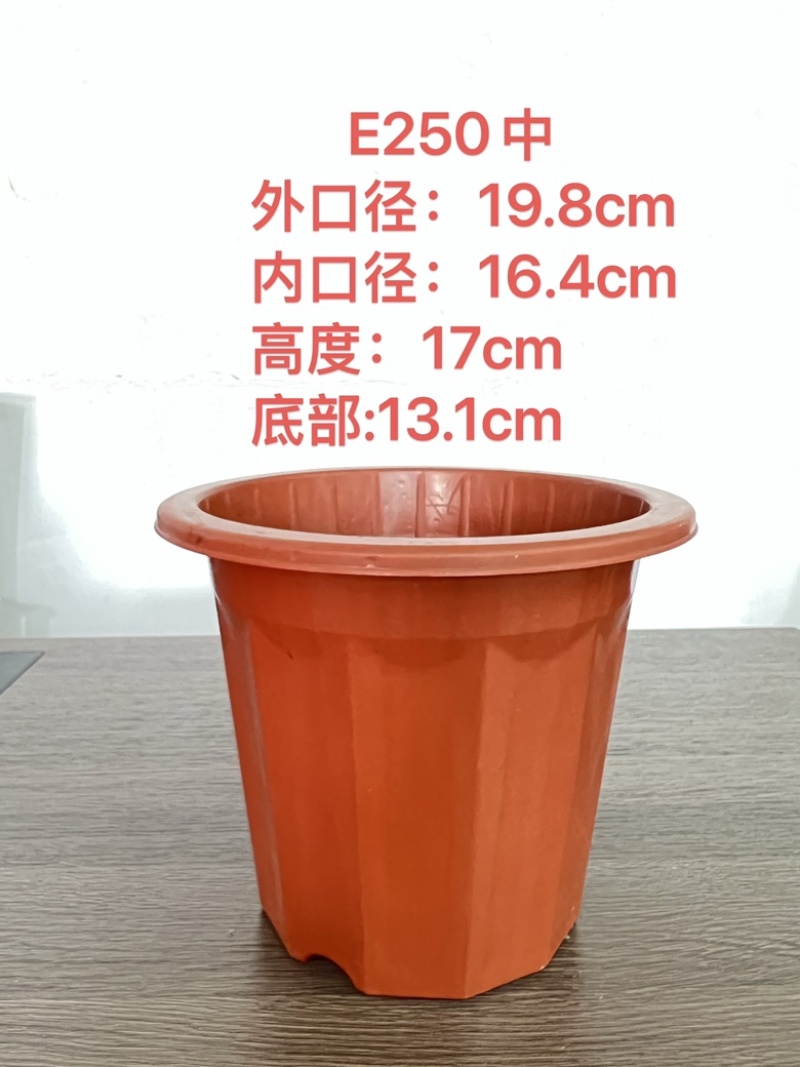 E型角盆：添加抗老化原料耐太阳耐高温塑料塑胶花盆育苗杯