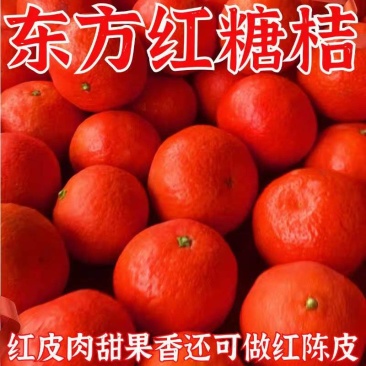 《东方红蜜桔》广西沙糖桔/产地直发/价格便宜/欢迎来电