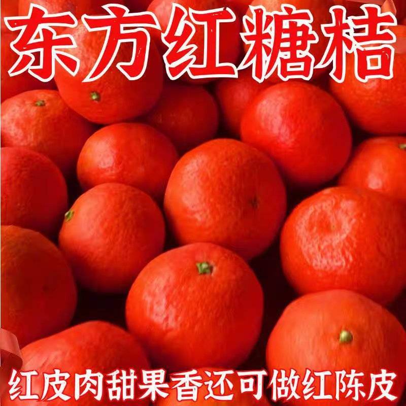 《东方红蜜桔》广西沙糖桔/产地直发/价格便宜/欢迎来电