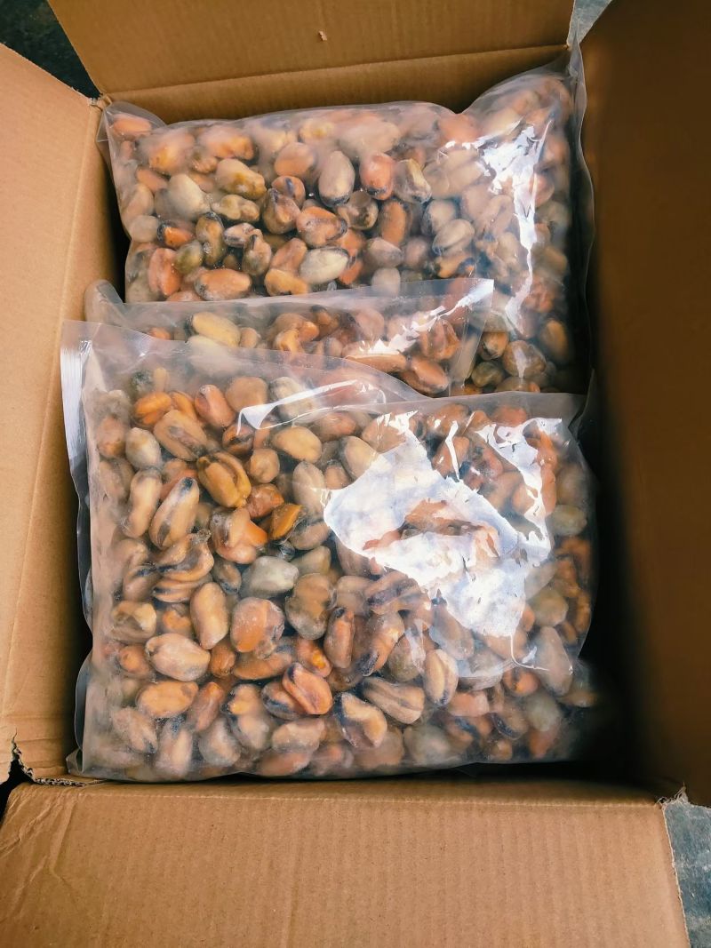 贻贝肉大量批发，需要的老板咨询