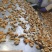 贻贝肉大量批发，需要的老板咨询
