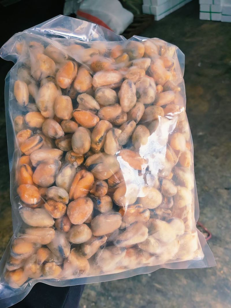 贻贝肉大量批发，需要的老板咨询