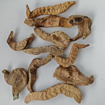 菲牛蛭冻干粉菲牛蛭冻干条代客打粉基地直发