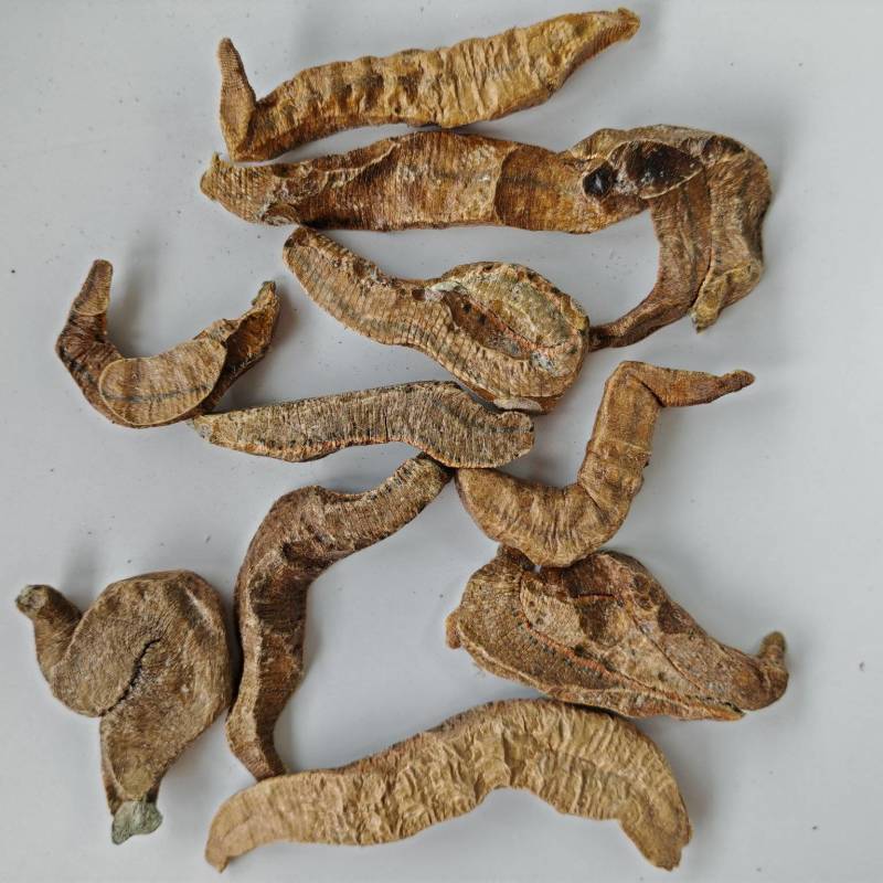 菲牛蛭冻干粉菲牛蛭冻干条代客打粉基地直发
