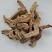 菲牛蛭冻干粉菲牛蛭冻干条代客打粉基地直发