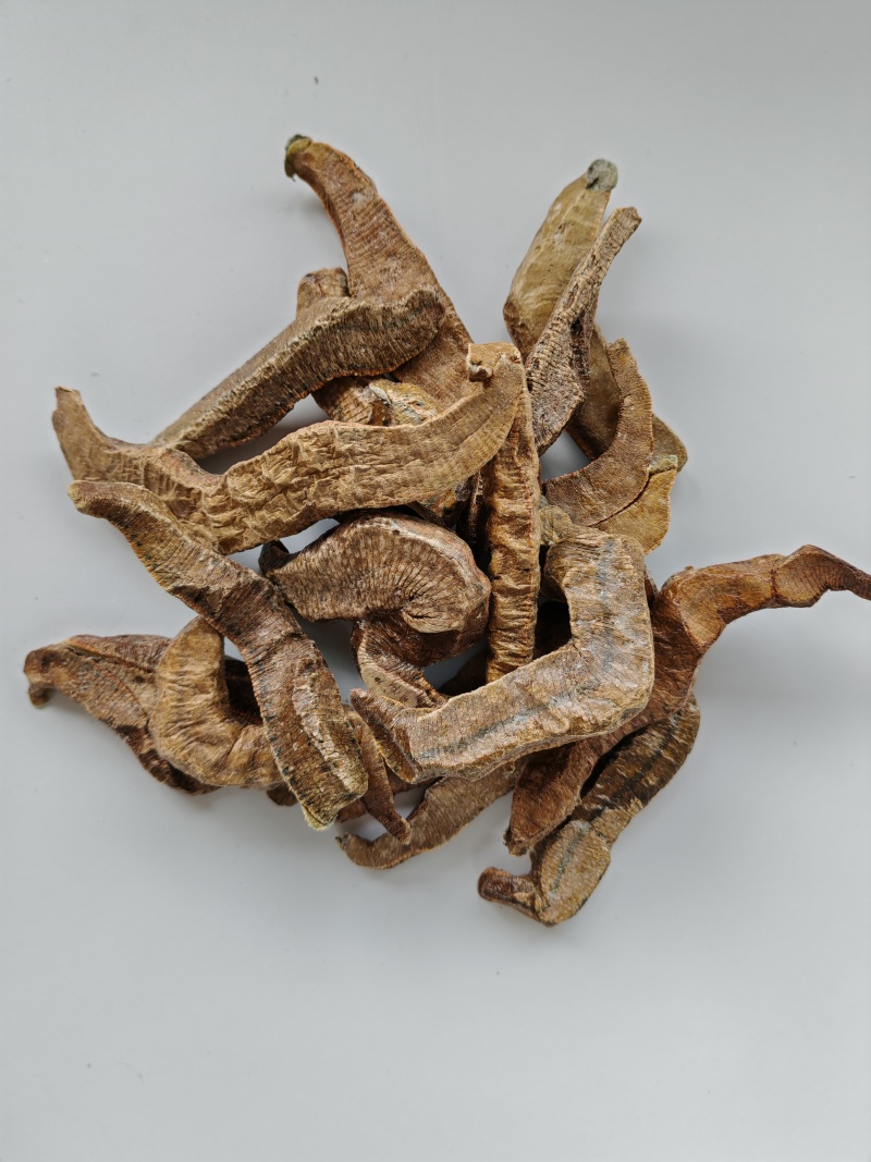 菲牛蛭冻干粉菲牛蛭冻干条代客打粉基地直发