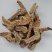 菲牛蛭冻干粉菲牛蛭冻干条代客打粉基地直发