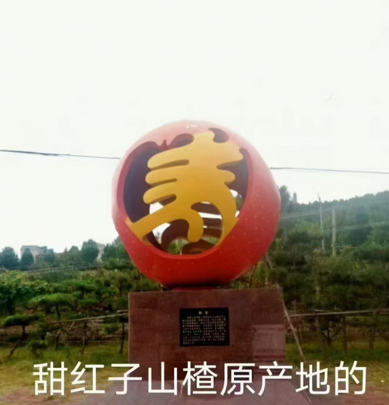 精品甜红子大果，香甜可口，量大优惠，欢迎进店