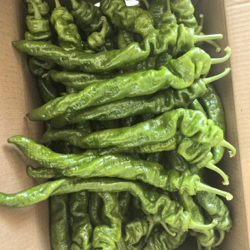 精品螺丝椒