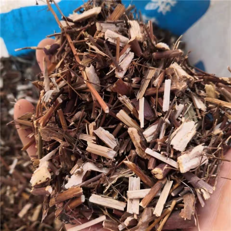 一枝蒿草中药材一支蒿保证质量大货供应合作共赢
