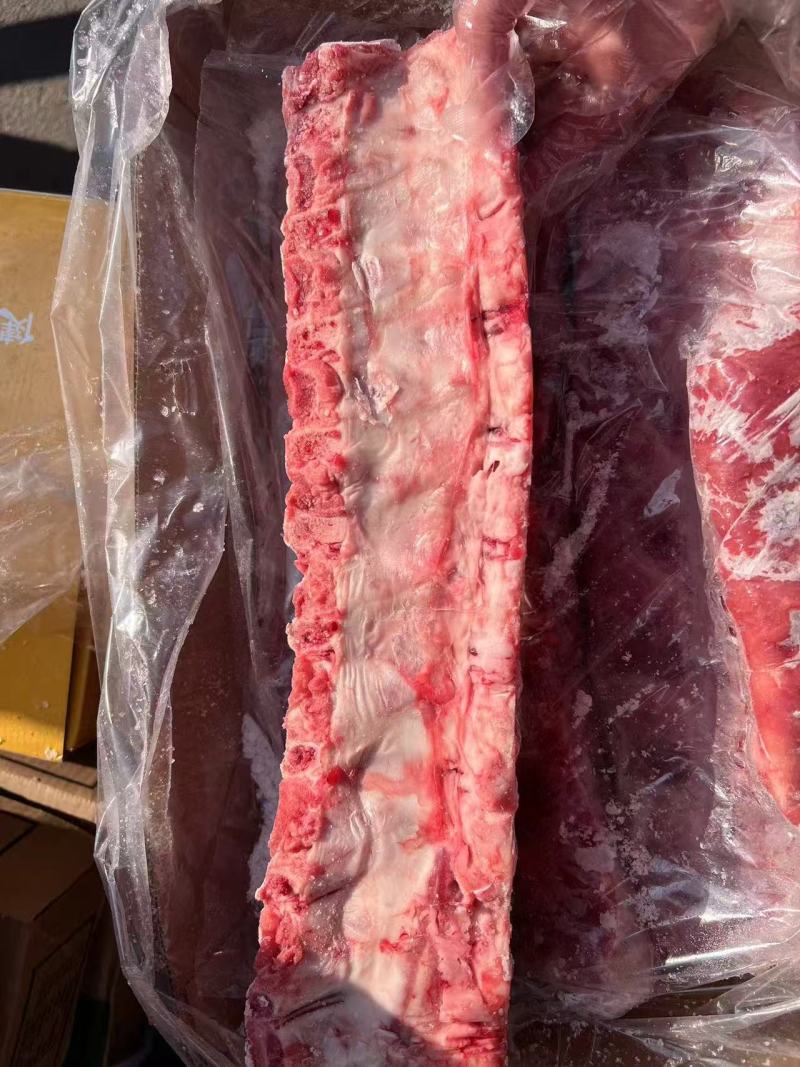 母猪龙骨20斤