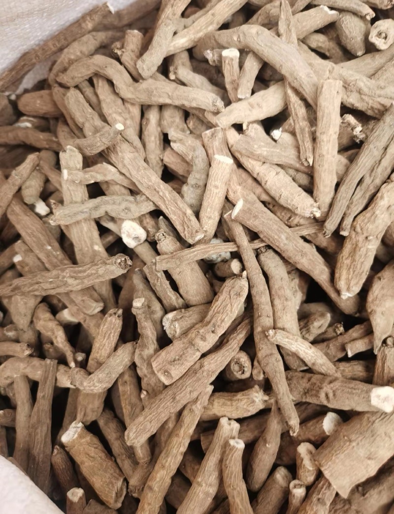 一枝蒿中药材一支蒿根雪上一支常年供应诚信经营
