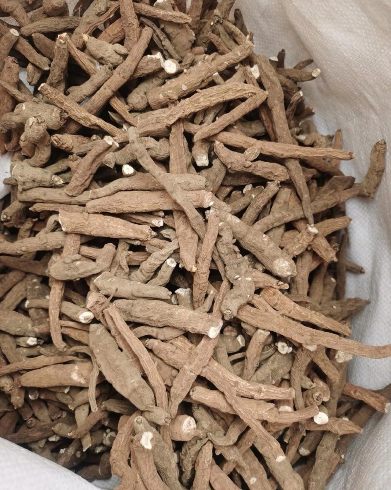 一枝蒿中药材一支蒿根雪上一支常年供应诚信经营