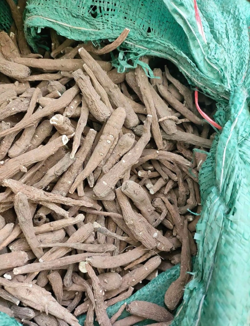 一枝蒿中药材一支蒿根雪上一支常年供应诚信经营