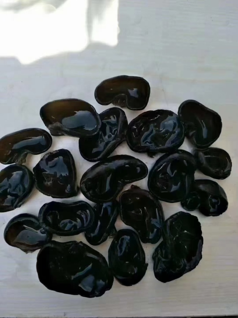 东北马姐秋木耳批发。
