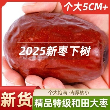 25年特级新疆和田大枣特级精选优质红枣核小肉多天然果干零