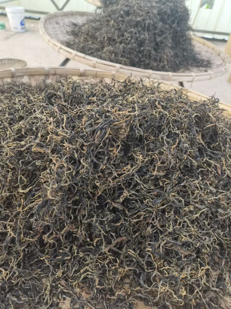 云南普洱生茶，倚邦中小叶种乔木生茶，量大从优，货真价实，