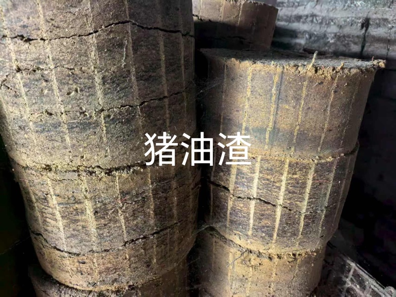 猪油渣适合养殖增加肉蛋白使用