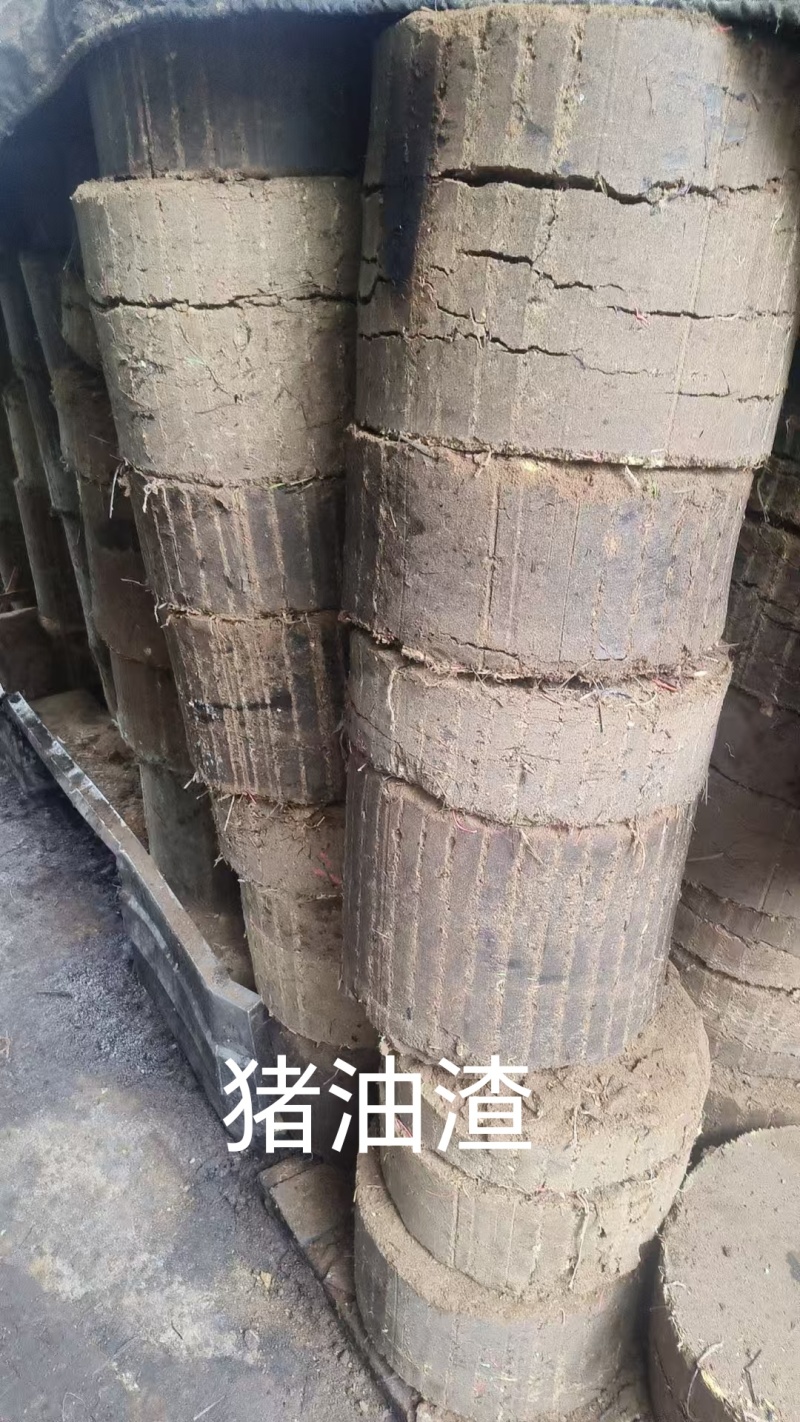猪油渣适合养殖增加肉蛋白使用