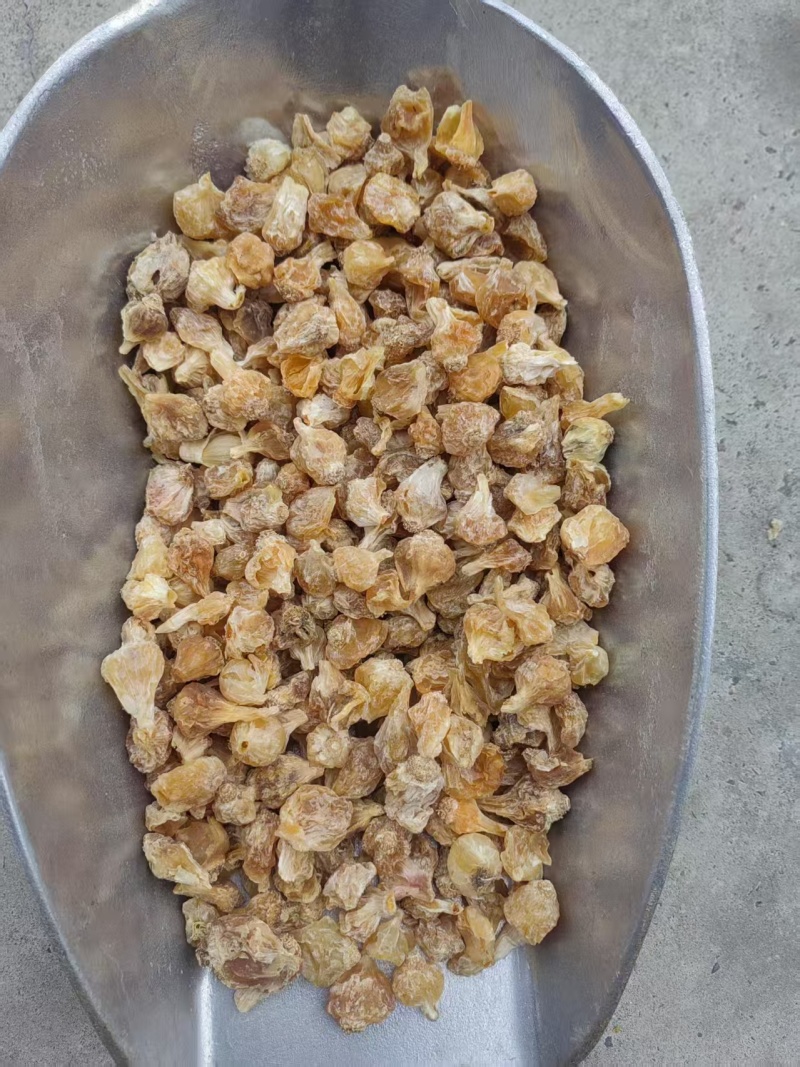 薤白干货/泻白小根蒜保质保量/实物拍摄野生中药材批发零售