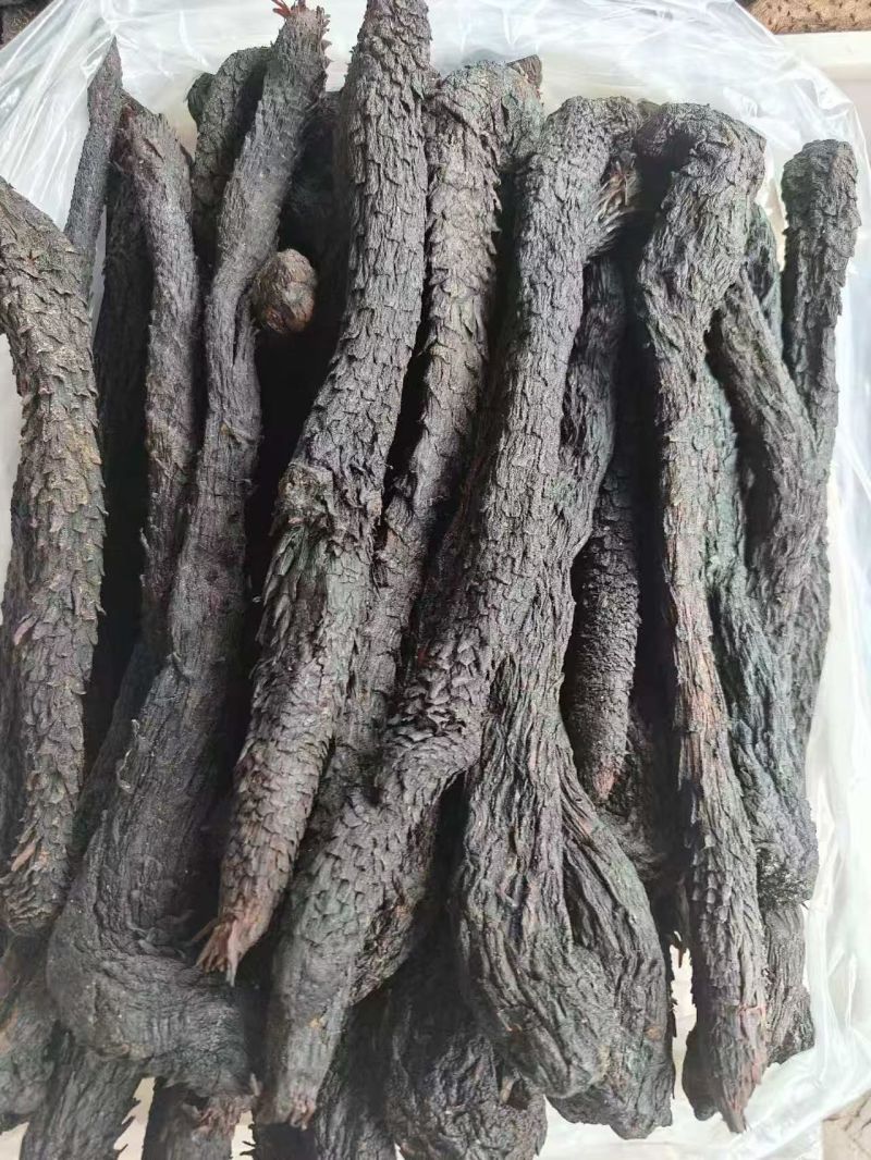 肉苁蓉整条无硫肉苁蓉大芸一手货源大货供应批发零售