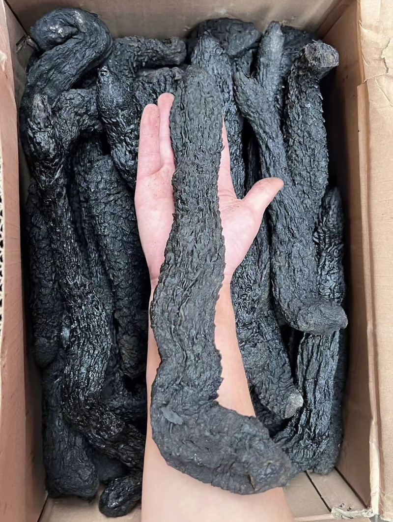 肉苁蓉整条无硫肉苁蓉大芸一手货源大货供应批发零售