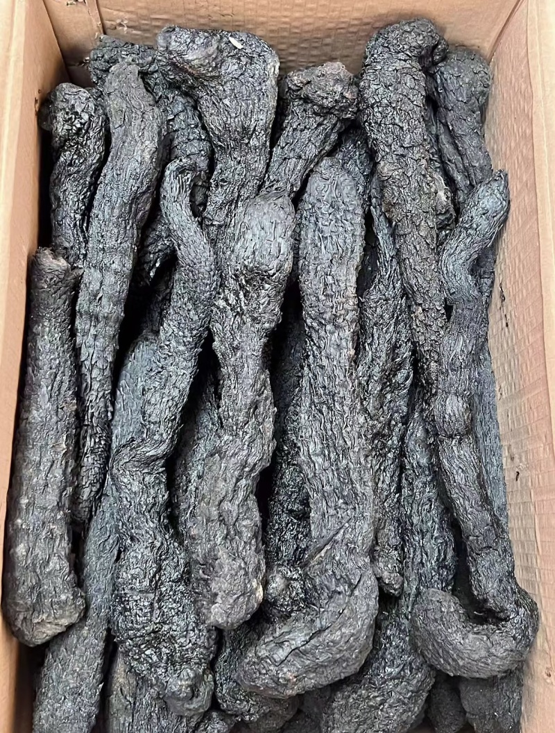 肉苁蓉整条无硫肉苁蓉大芸一手货源大货供应批发零售